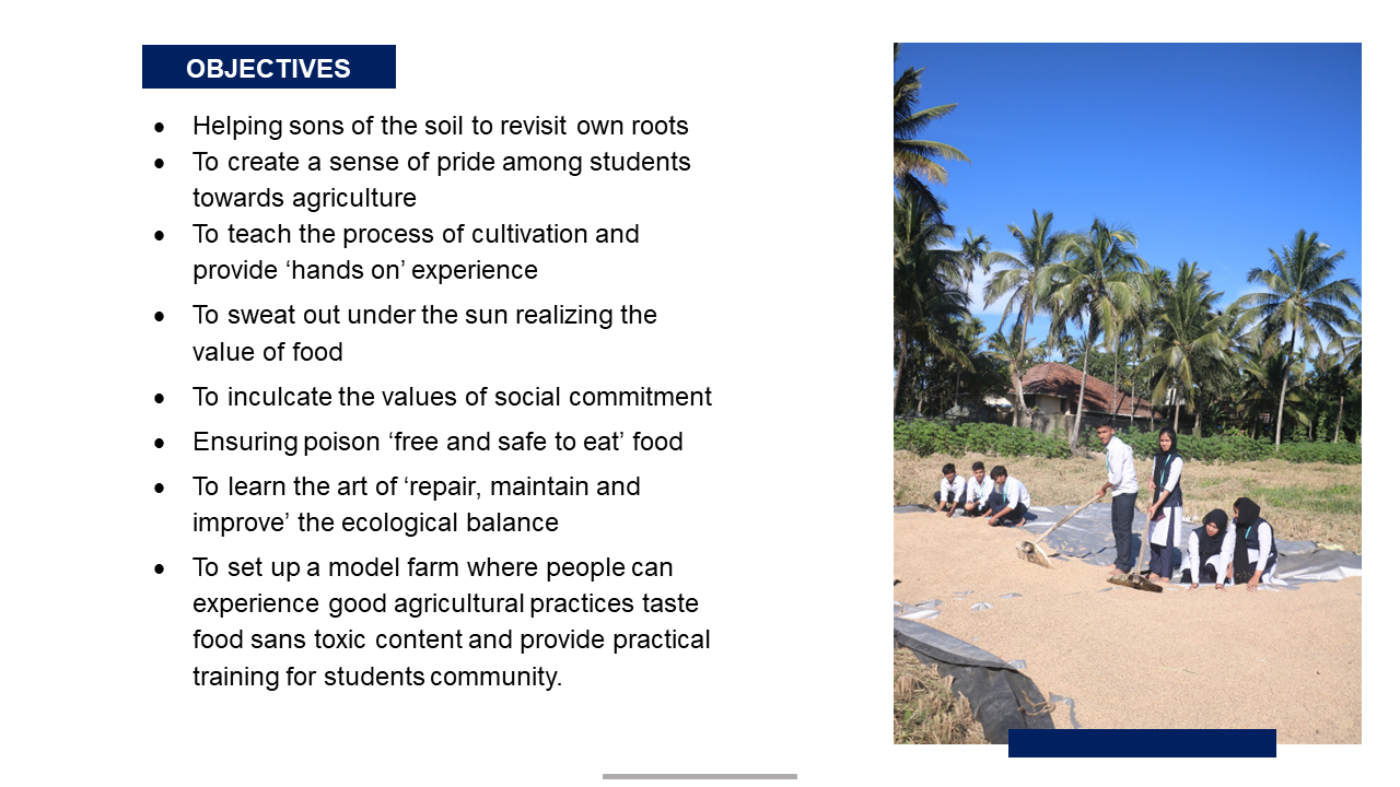 Second slide